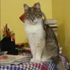 Отзыв от Арина Лаврова
